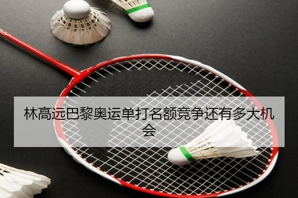 林高远巴黎奥运单打名额竞争还有多大机会